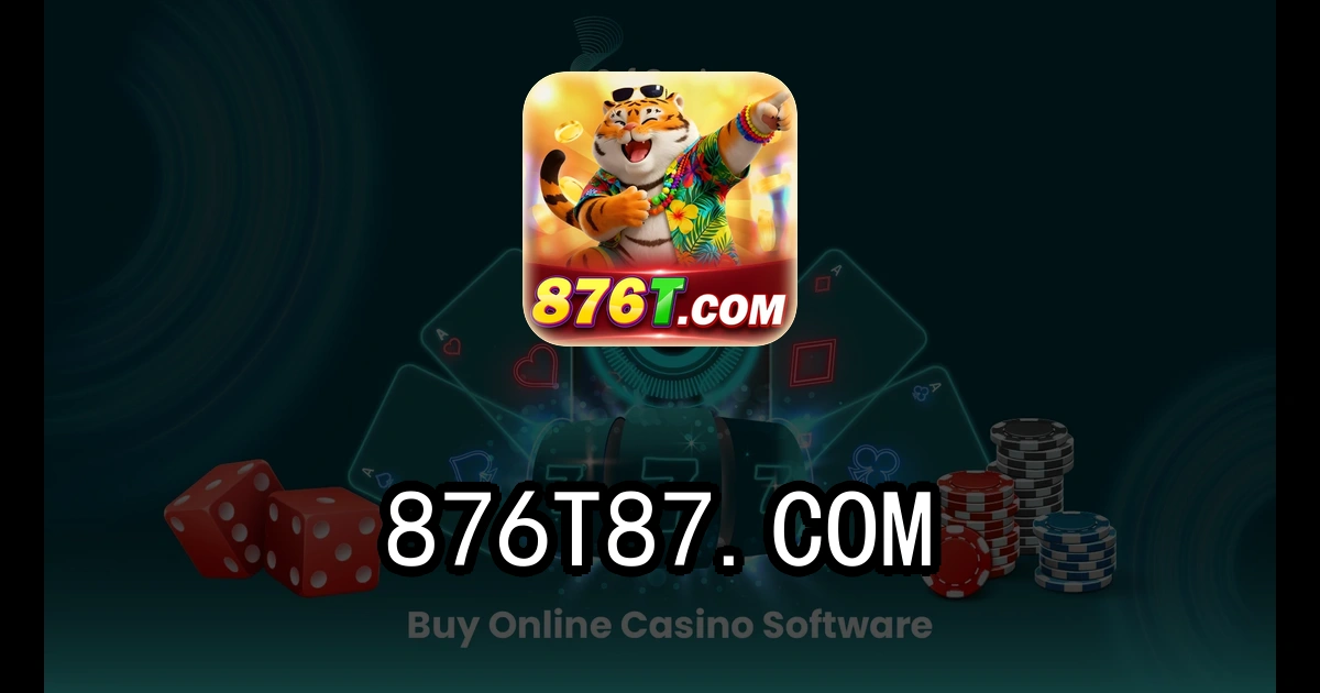 876t